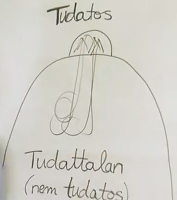 Tudatosság